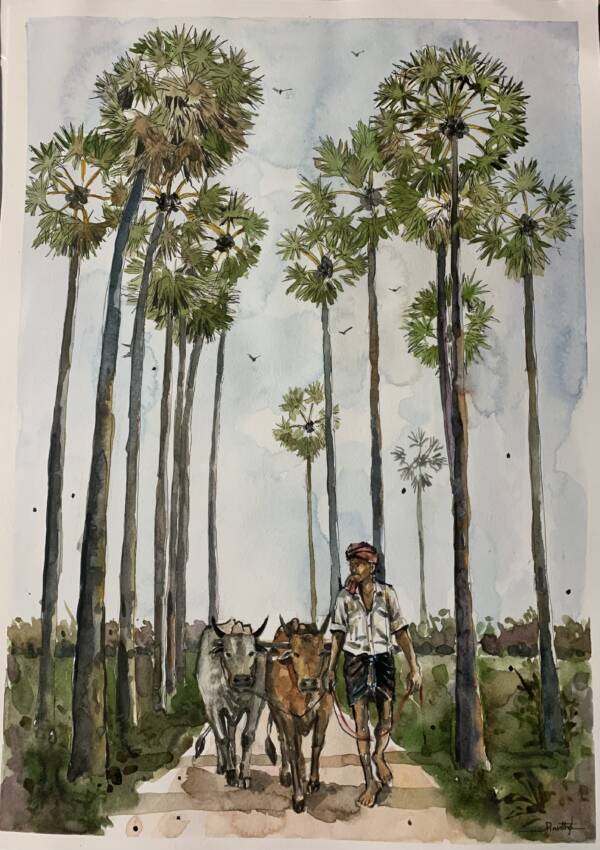 The palmyra lined road and the cowherd